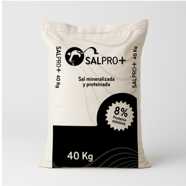 SALPRO+
