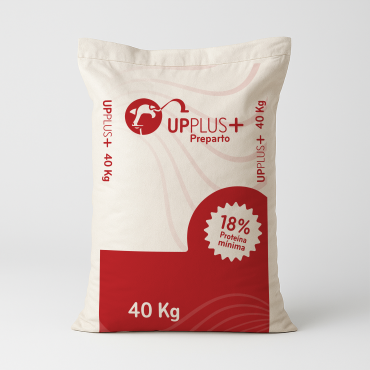 UPPLUS+ Preparto